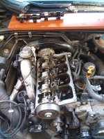 20170520_171948.jpg